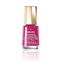 NAIL COLOR 01 ankara 5 ml